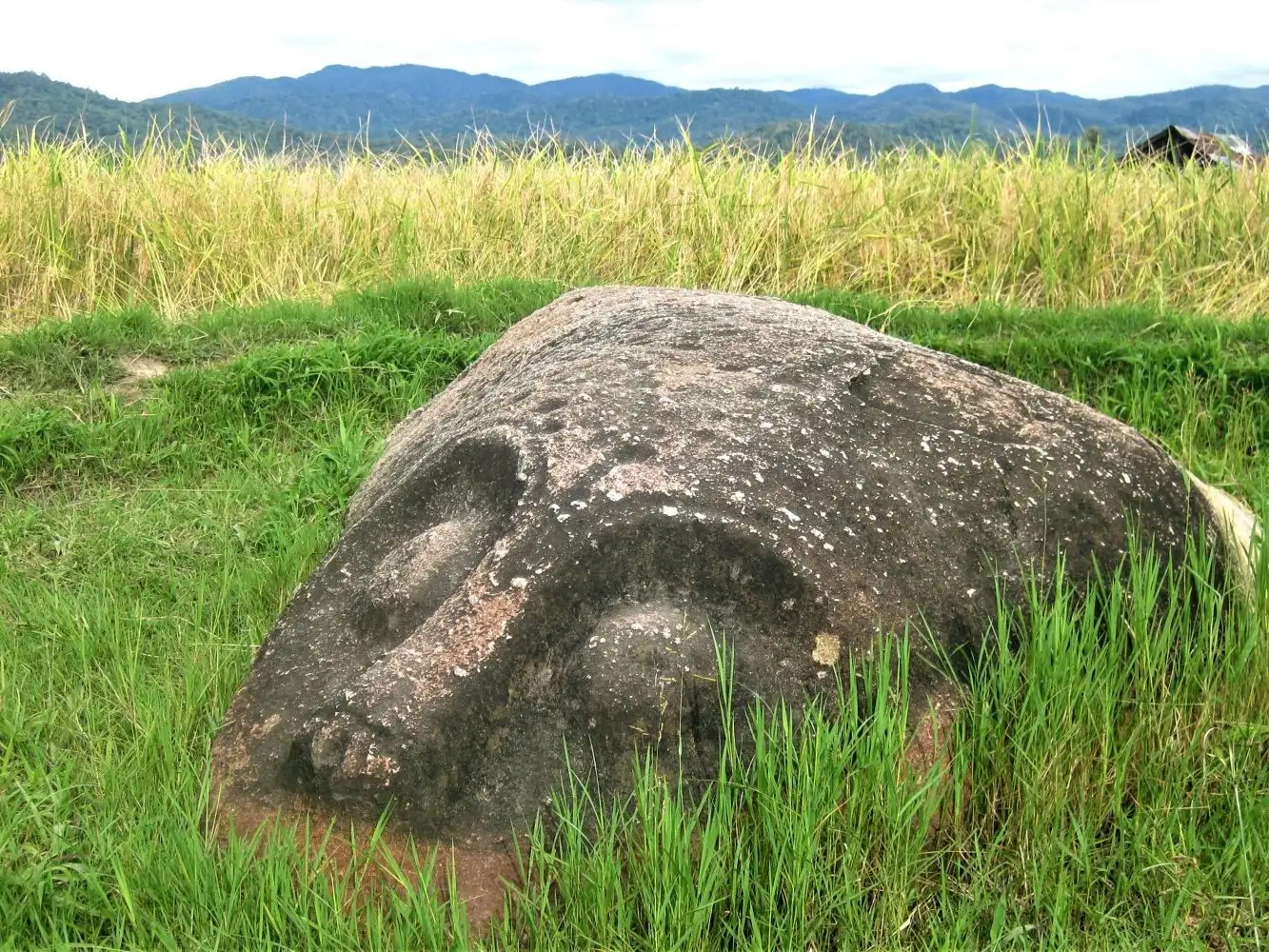 trekking di Taman Nasional Lore Lindu