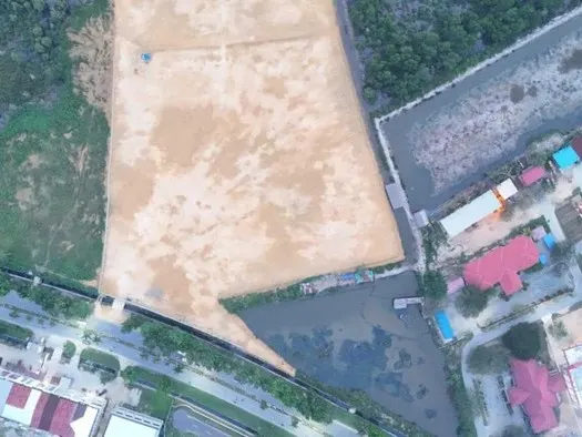 Gubernur Sultra Babat Mangrove 3 Hektare