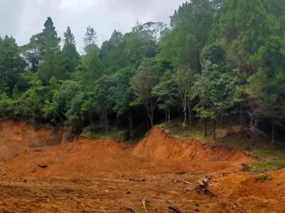 Hutan Lindung Puluhan Hektar di Gowa digundul
