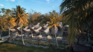 Rekomendasi Tempat Wisata di Toraja 2025