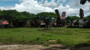 Masyarakat Adat Gugat Kebijakan Bupati Toraja