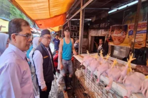 Bahan Pokok di Makassar Turun Harga