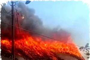 Kebakaran Paduppa Resort Bulukumba, Api Melalap