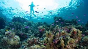 7 Destinasi Wisata Alam di Sulawesi Terpopuler