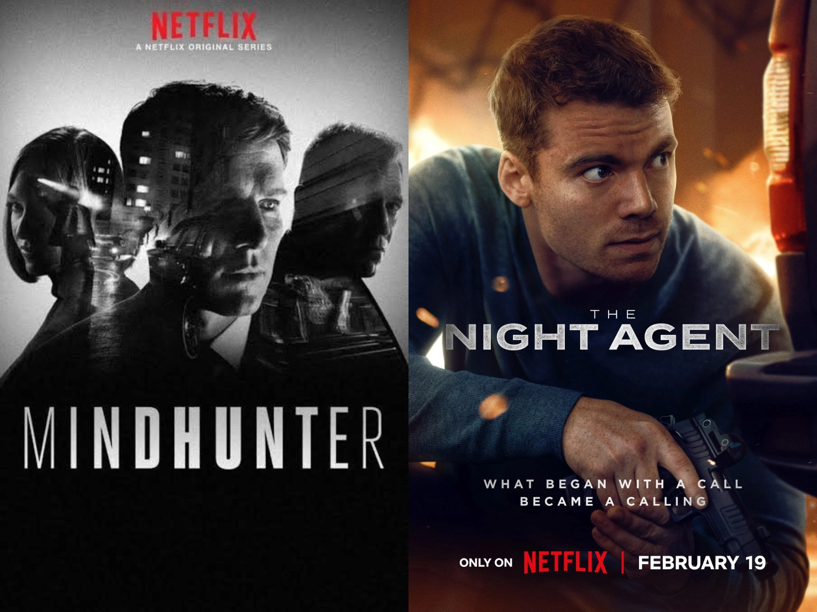 series netflix fbi