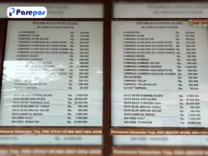 Viral! Daftar Harga Ritual Gunung Kawi Viral
