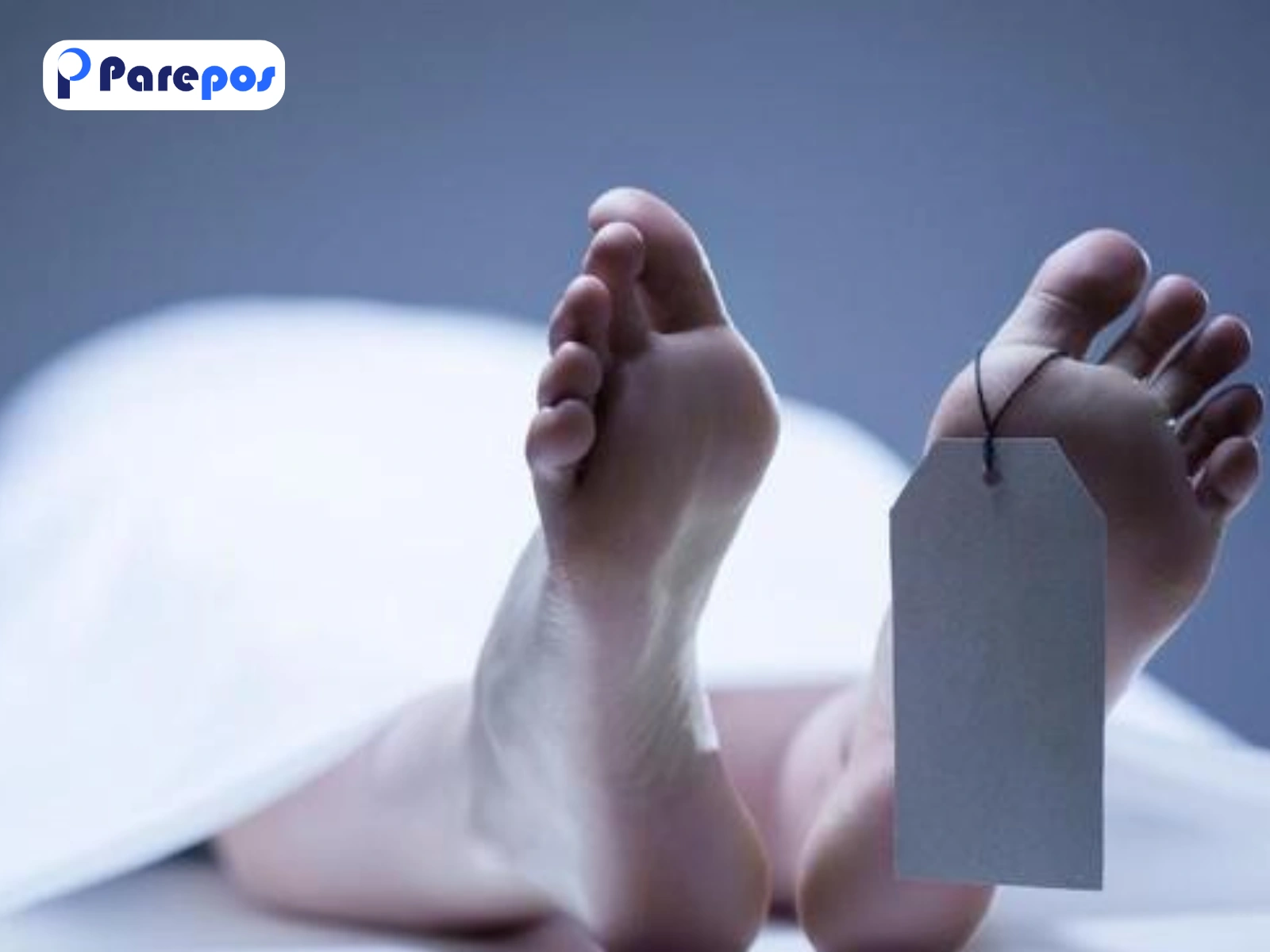 Penghuni Kos di Jaksel Ditemukan Tewas Membusuk