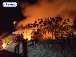 Kebakaran Hutan Kalimantan, BMKG Ungkap Penyebab