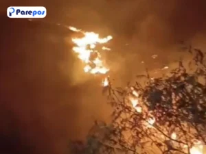 Gunung Sumbing Wonosobo Kebakaran, 152 Pendaki Turun