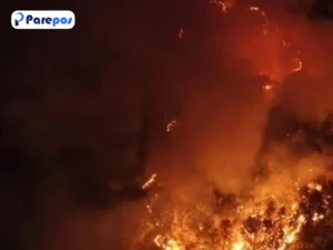 Hutan Gunung Ciremai Terbakar Lagi, Asap Membubung