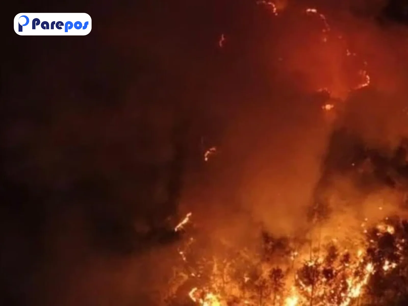 Hutan Gunung Ciremai Terbakar Lagi